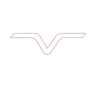 Logo Beach Volley Training Rosso